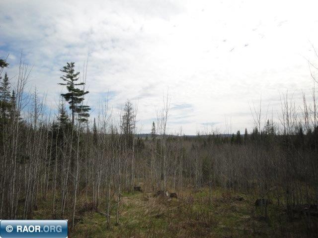 4866 Waisanen Road Embarrass, MN 55732 - Photo 18 of 29