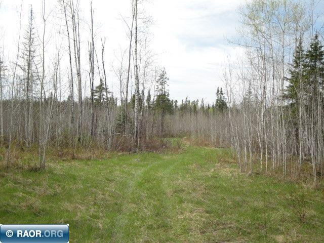 4866 Waisanen Road Embarrass, MN 55732 - Photo 21 of 29