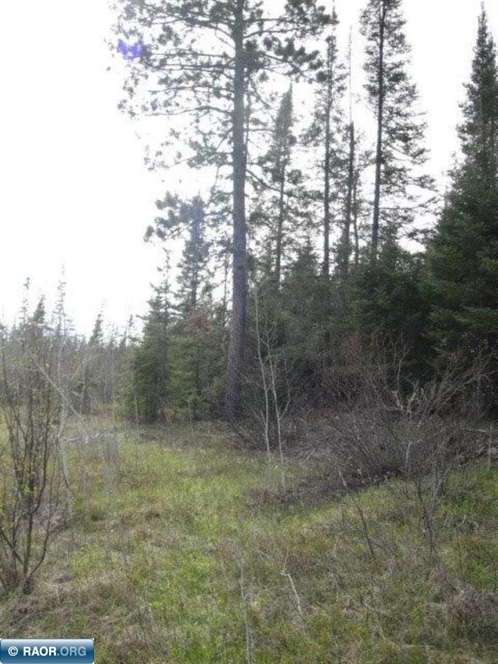 4866 Waisanen Road Embarrass, MN 55732 - Photo 23 of 29