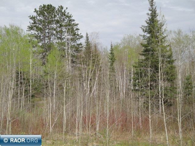 4866 Waisanen Road Embarrass, MN 55732 - Photo 9 of 29