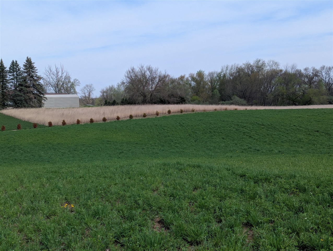 V/l V/l M-50 Road Jackson, MI 49201 - Photo 8 of 20