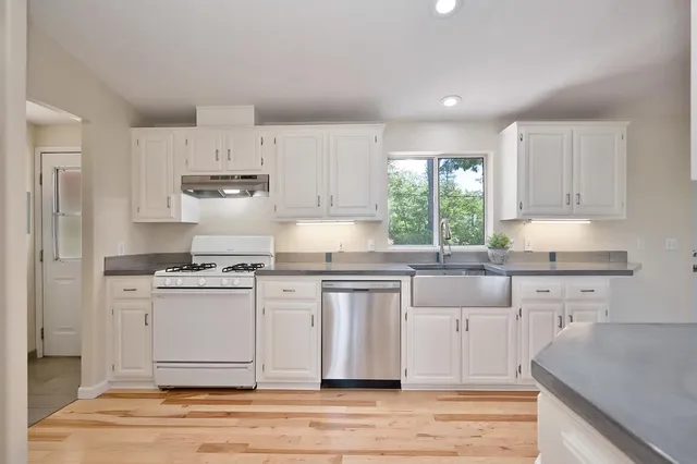 a kitchen with granite countertop a sink a counter and a potted plant