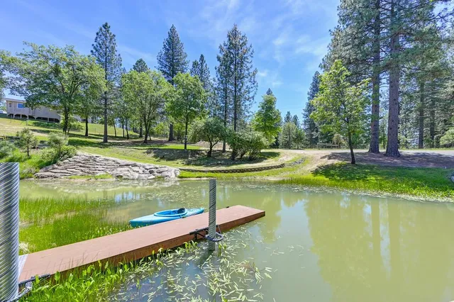 a front view of a house with garden and trees