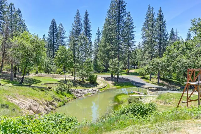 a view of a yard with a tree