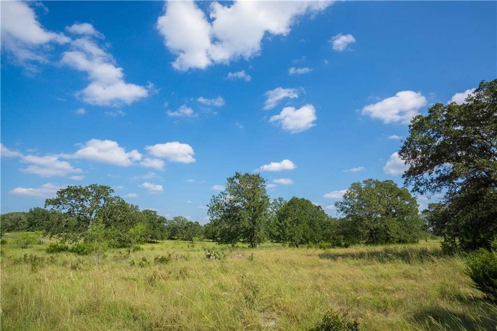 1145 Lightning Ranch Road Georgetown, TX 78628 - Photo 1 of 1 Gallery Image 1