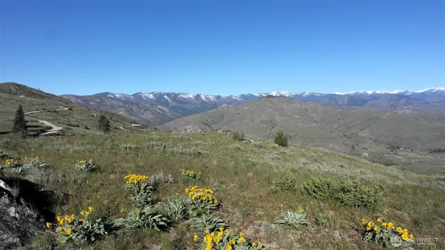 a view of a mountain range with lush green forest