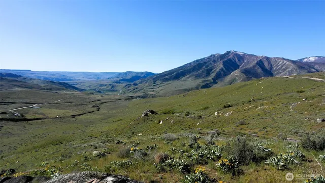 a view of a dry yard with mountains in the background
