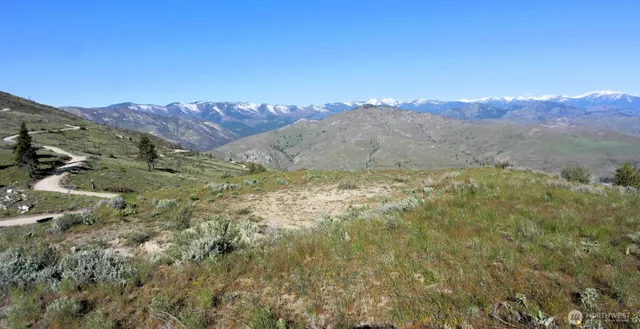 a view of a dry yard