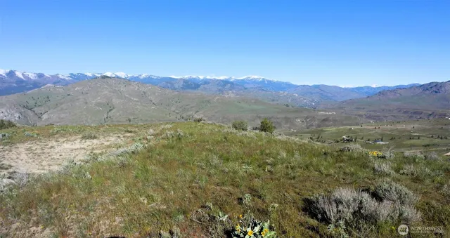 a view of a lush green hillside and a houses