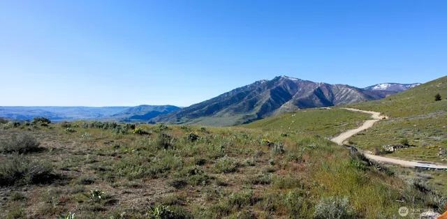 a view of a dry yard with mountains in the background