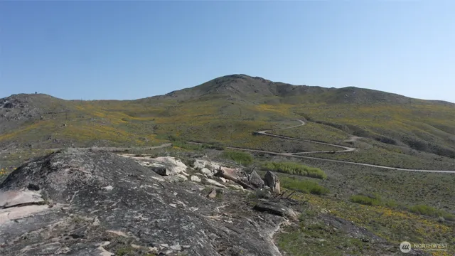 a view of a mountain in the distance