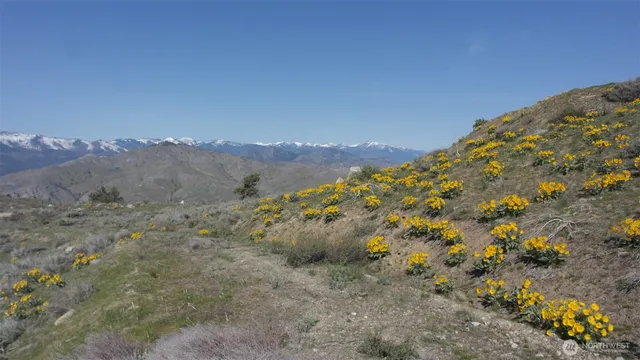 a view of a dry yard with mountains in the background
