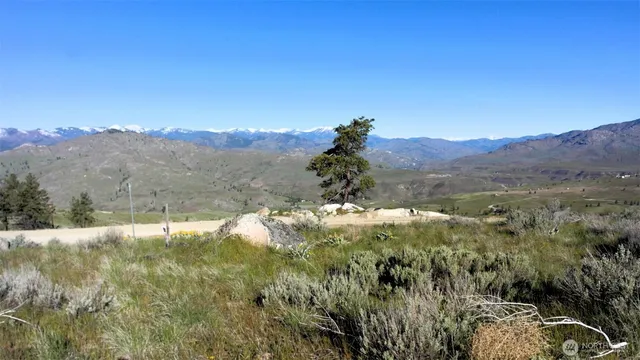 a view of a yard with a mountain