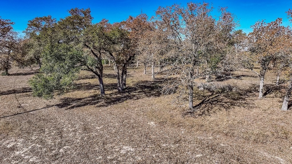 71 By- Feeder Road La Grange, TX 78945 - Photo 16 of 19