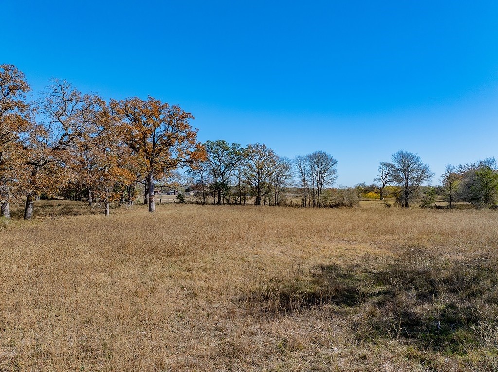 71 By- Feeder Road La Grange, TX 78945 - Photo 4 of 19