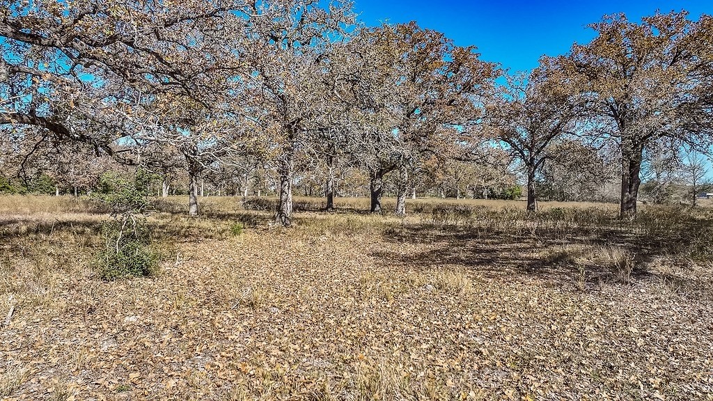 71 By- Feeder Road La Grange, TX 78945 - Photo 7 of 19