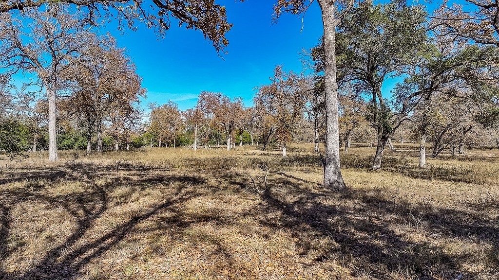 71 By- Feeder Road La Grange, TX 78945 - Photo 8 of 19