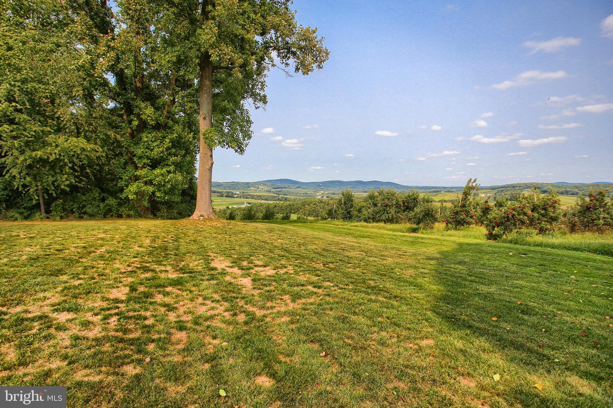 1195 Farm View Road York Springs, PA 17372 - Photo 50 of 53 Gallery Image 50