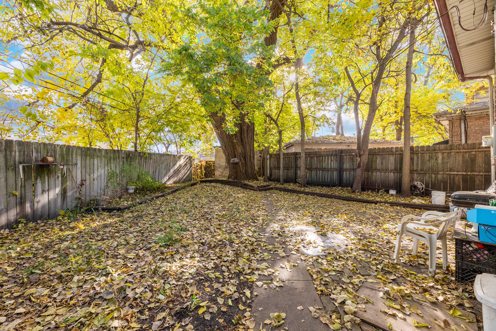 8129 South Cornell Avenue Chicago, IL 60617 - Photo 13 of 16 a view of backyard with wooden fence and a large tree