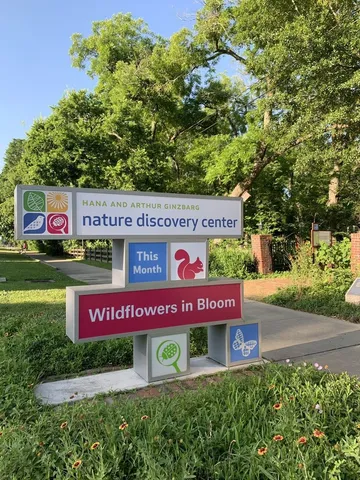 a view of a tree in a yard