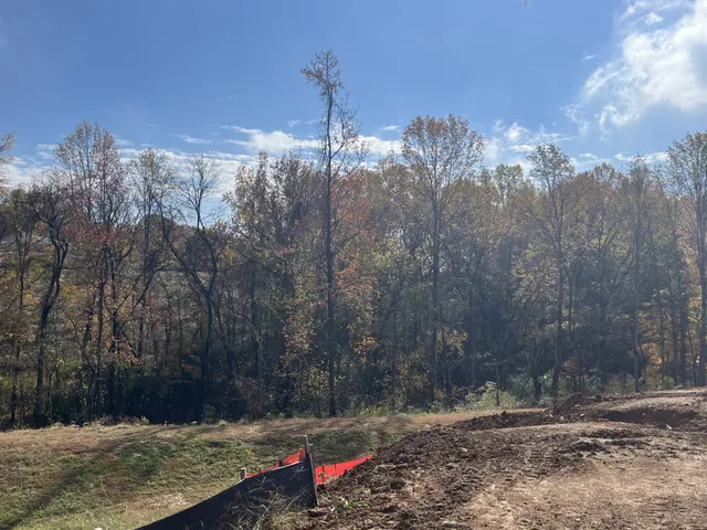 $775,000 | 1193 Sydney Terrace, Mount Juliet, TN 37138