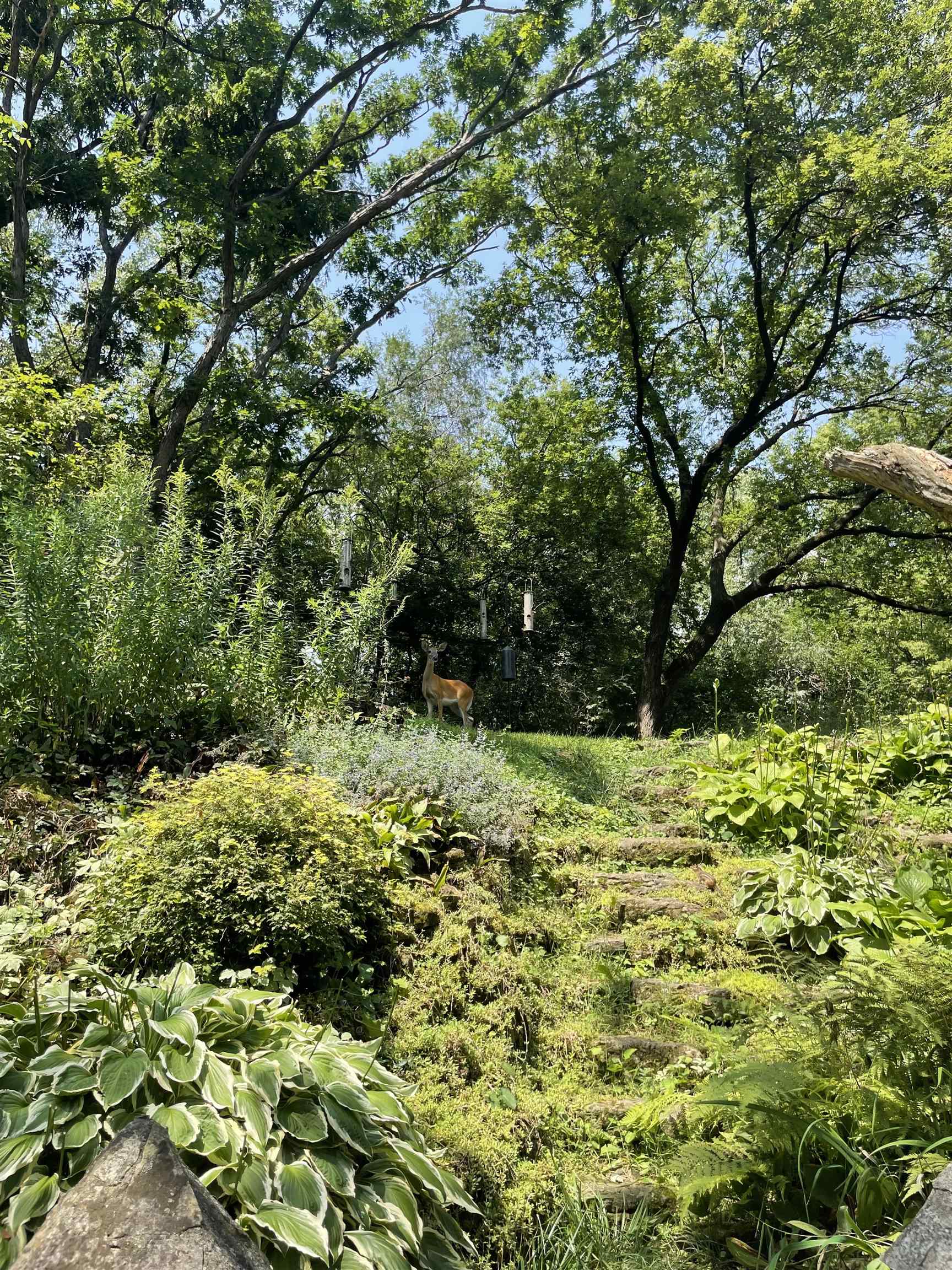 202 Shepard Terrace Madison, WI 53705 - Photo 46 of 54