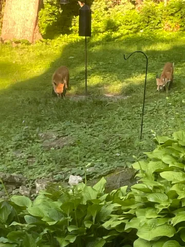 $875,000 | 202 Shepard Terrace, Madison, WI 53705