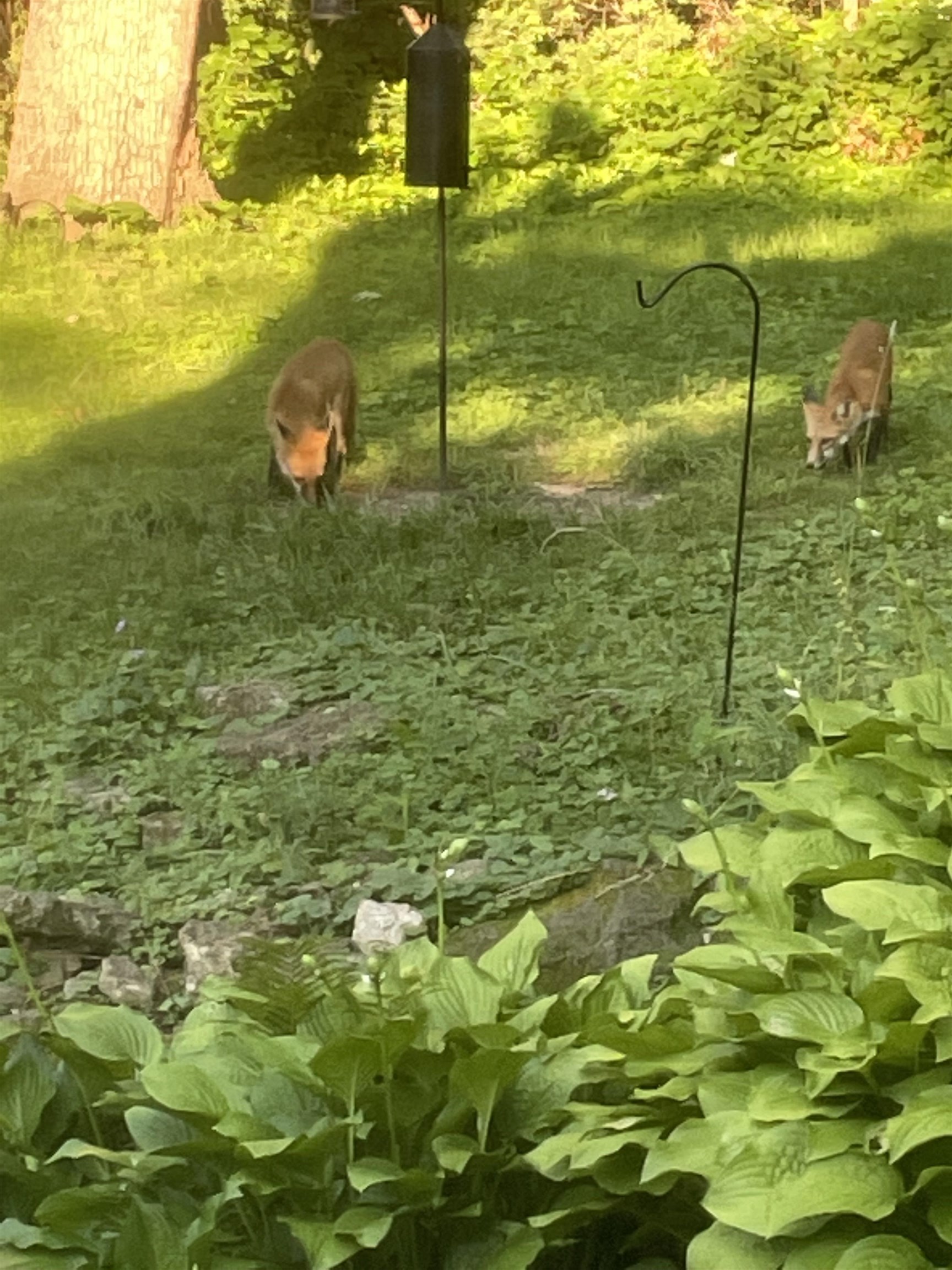 202 Shepard Terrace Madison, WI 53705 - Photo 47 of 54