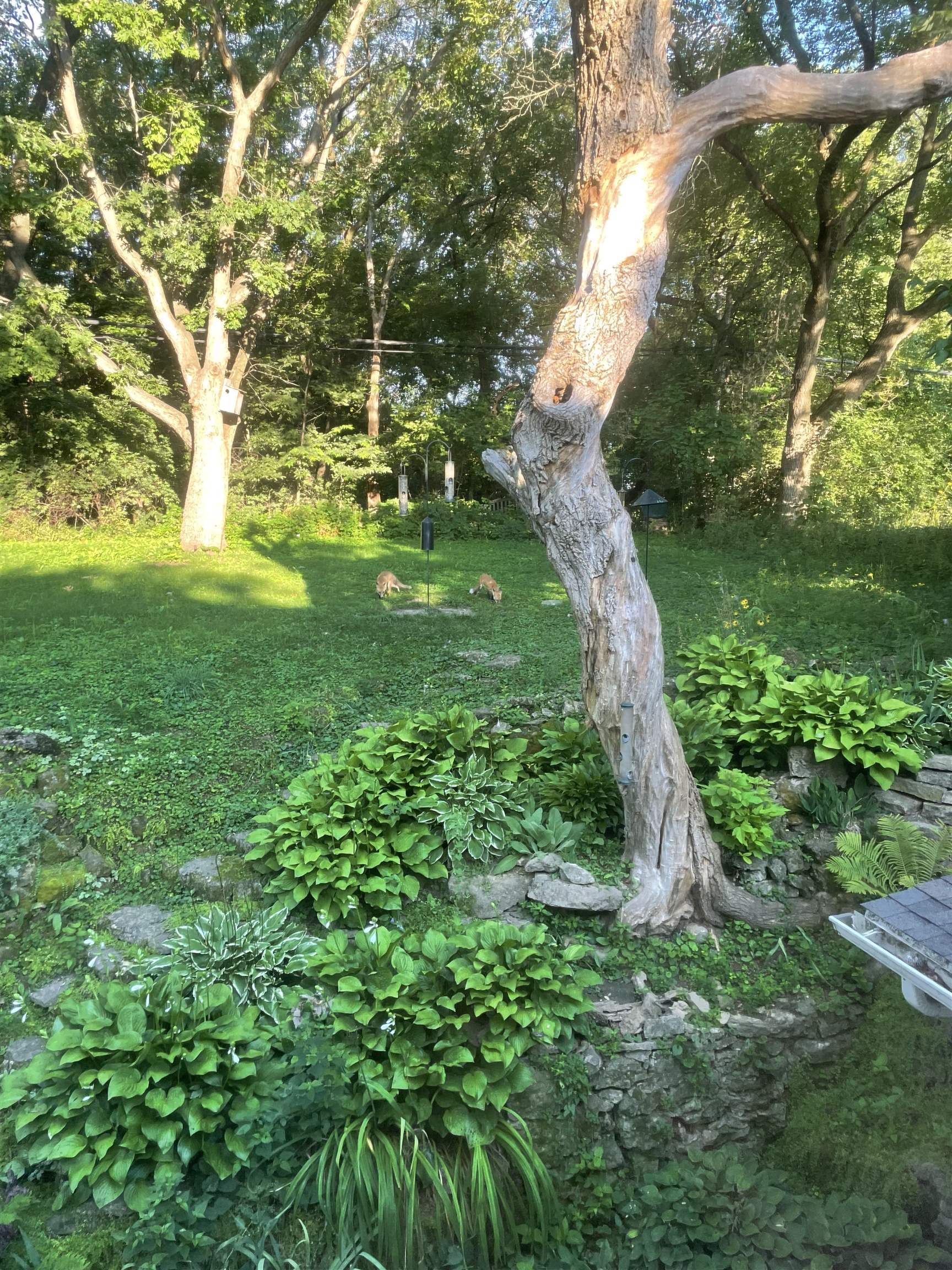 202 Shepard Terrace Madison, WI 53705 - Photo 48 of 54