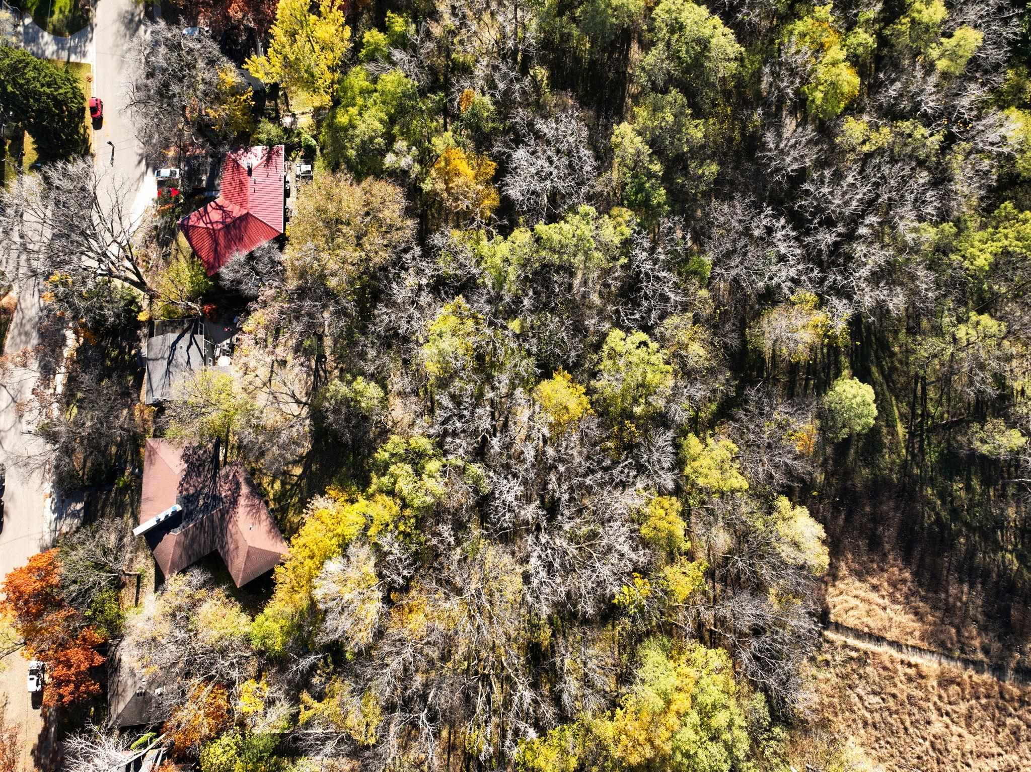 202 Shepard Terrace Madison, WI 53705 - Photo 50 of 54