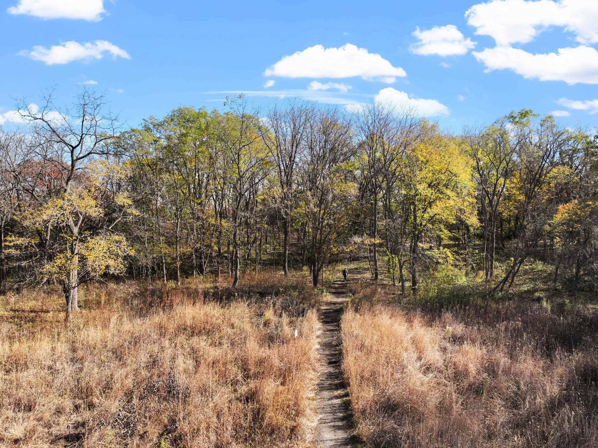 202 Shepard Terrace Madison, WI 53705 - Photo 51 of 54