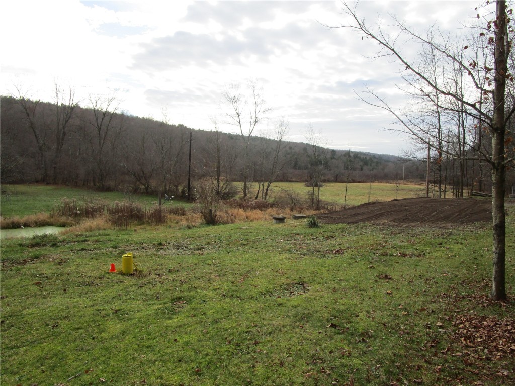 554 King Road Greene, NY 13778 - Photo 8 of 9 Gallery Image 8