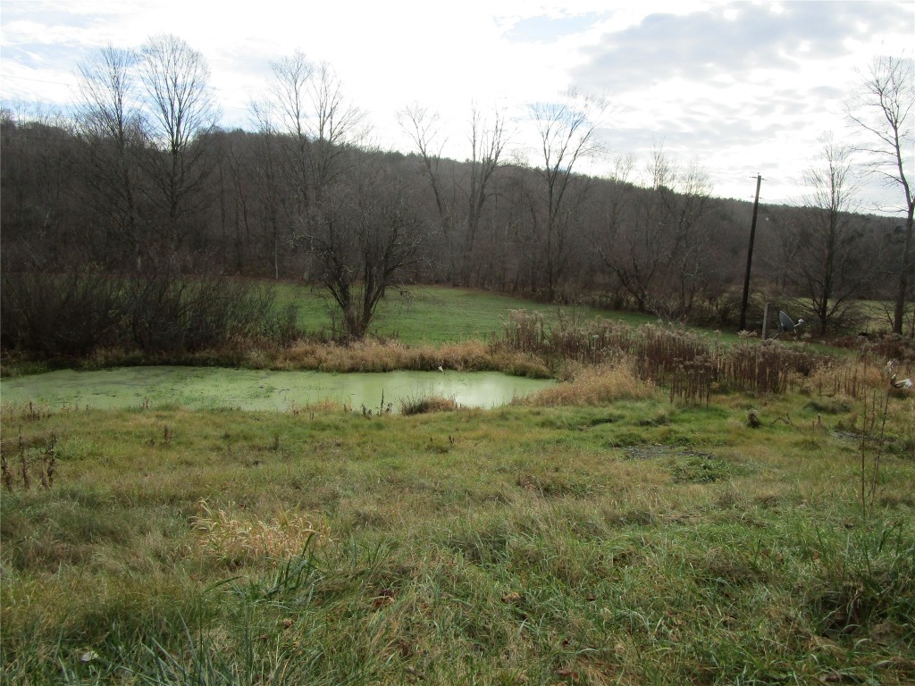 554 King Road Greene, NY 13778 - Photo 9 of 9 Gallery Image 9