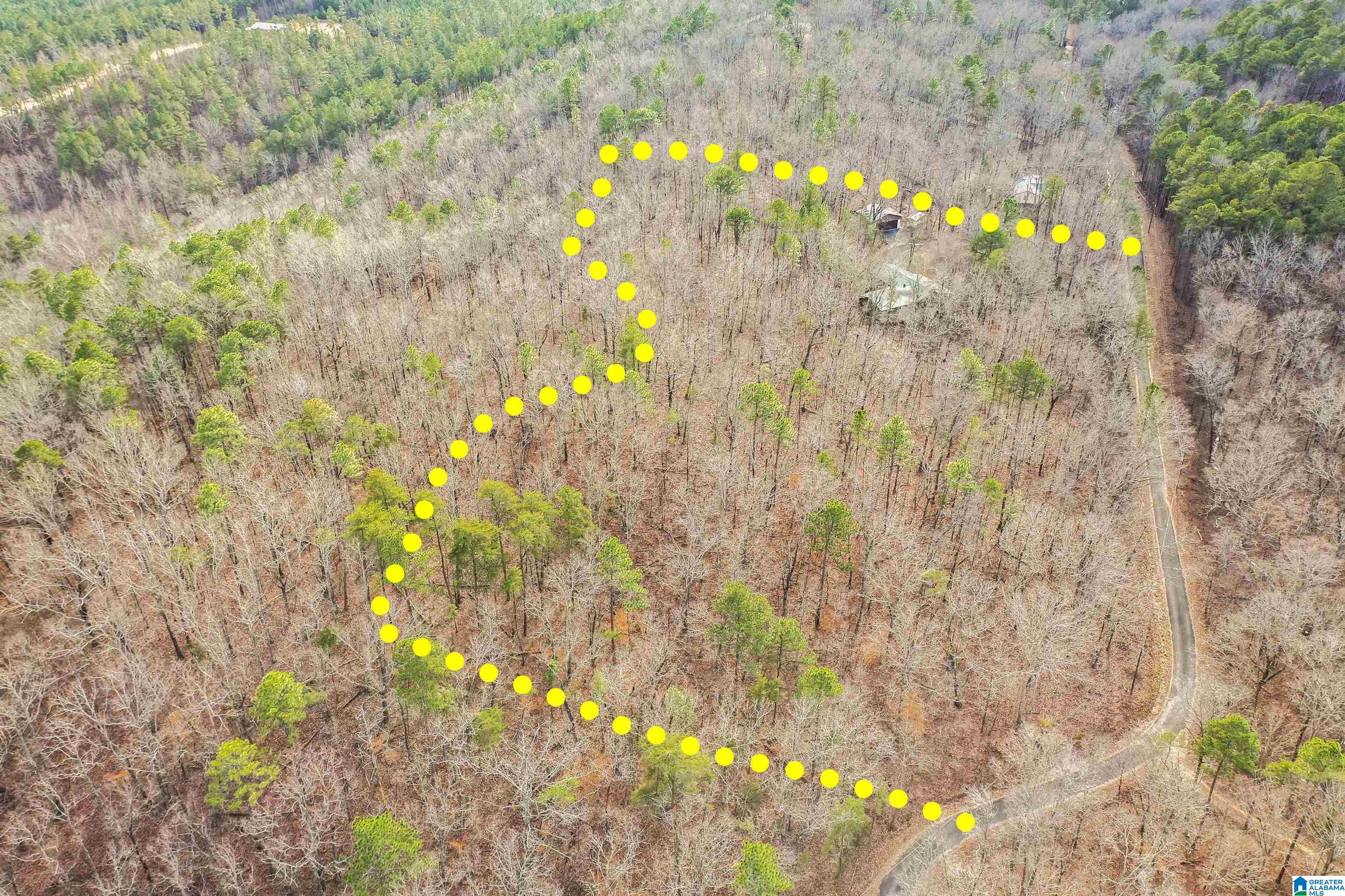 488 Oak Ridge Road Odenville, AL 35120 - Photo 57 of 61