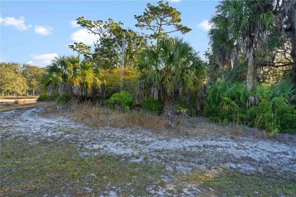 $40,000 | Tbd East Cason Boulevard, Inglis, FL 34449