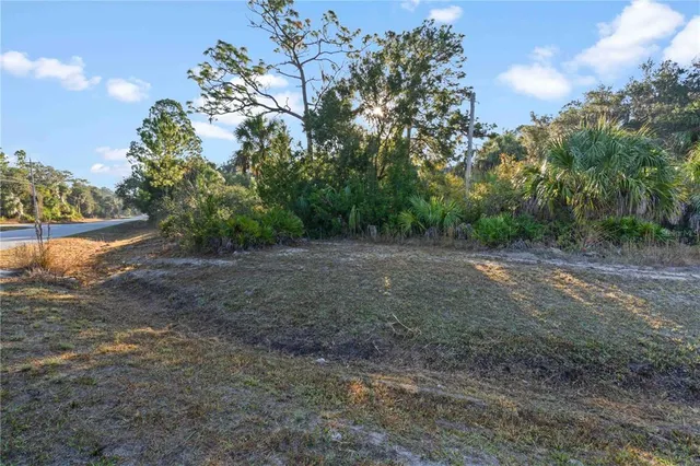 a view of a yard with a tree