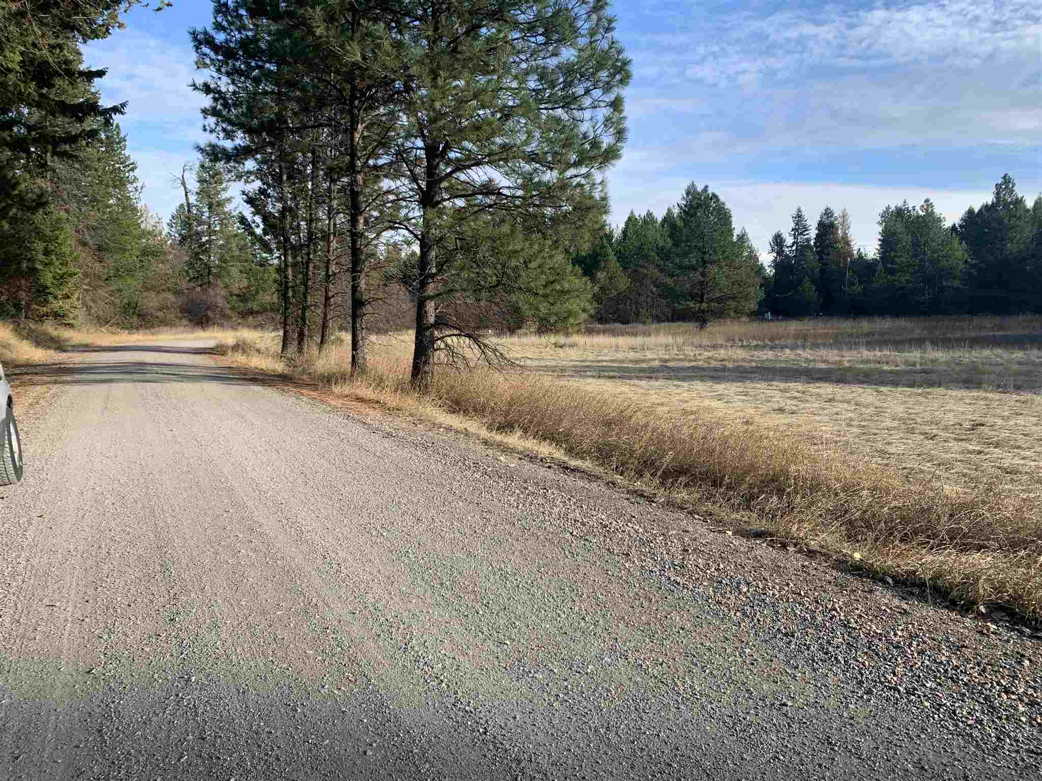 4782 Luther Road Springdale, WA 99173 - Photo 11 of 27