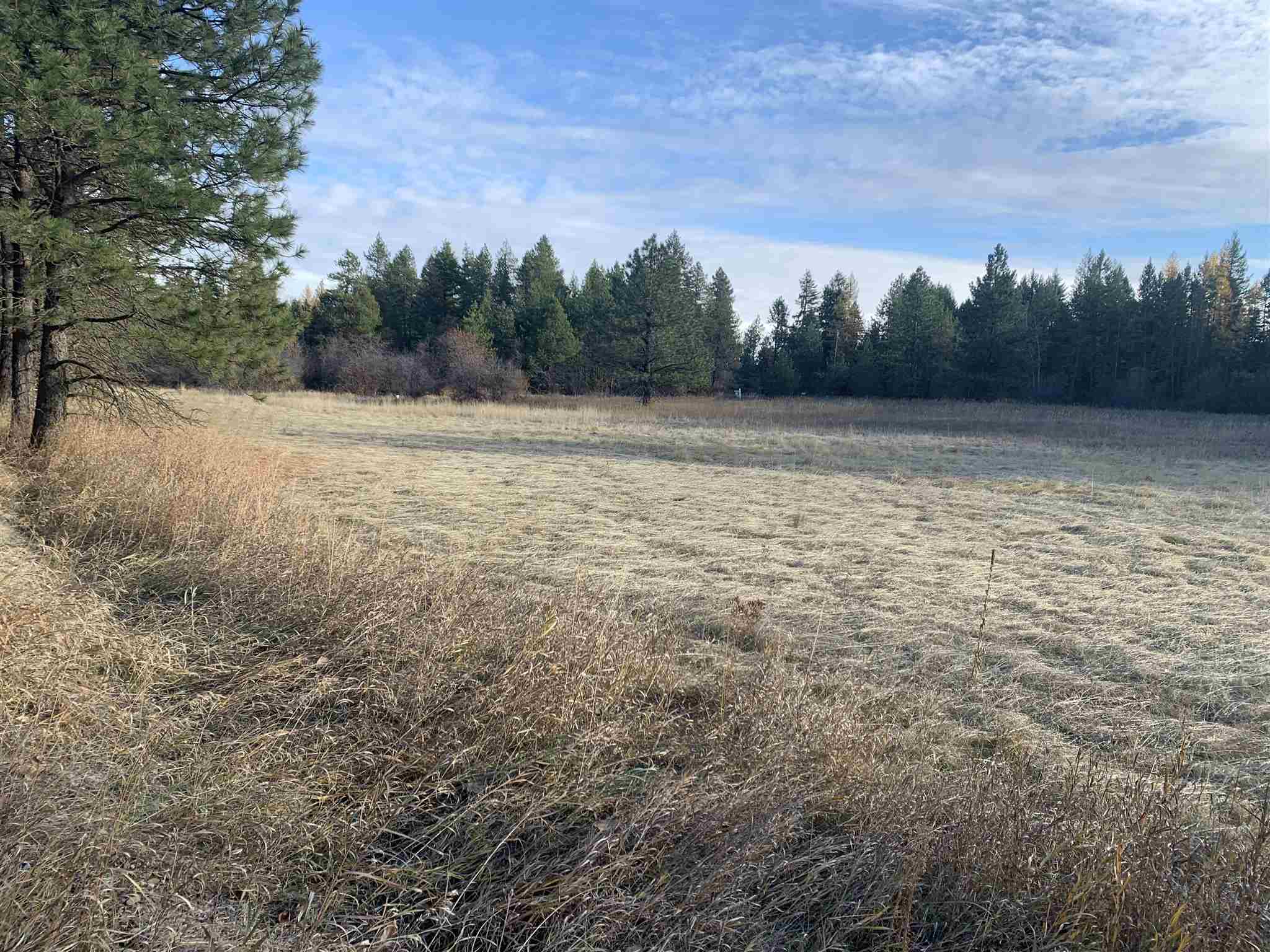 4782 Luther Road Springdale, WA 99173 - Photo 14 of 27