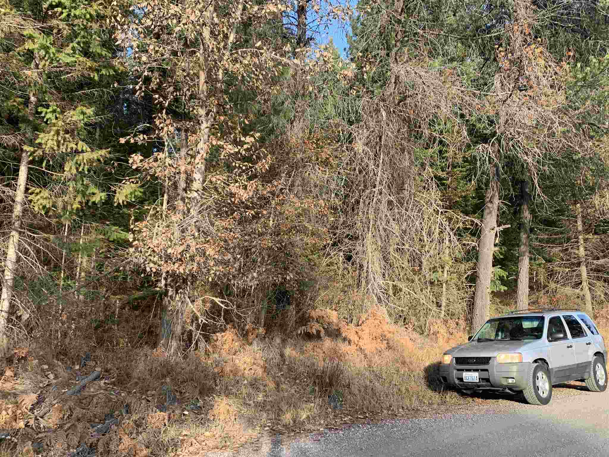 4782 Luther Road Springdale, WA 99173 - Photo 17 of 27