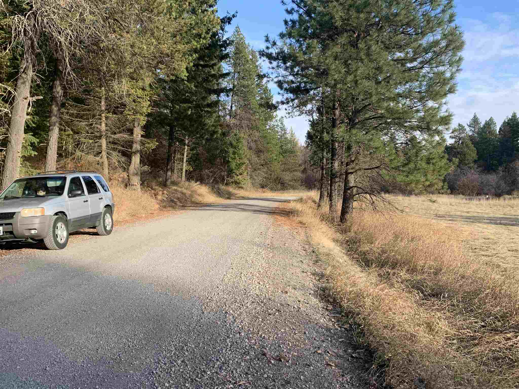 4782 Luther Road Springdale, WA 99173 - Photo 18 of 27