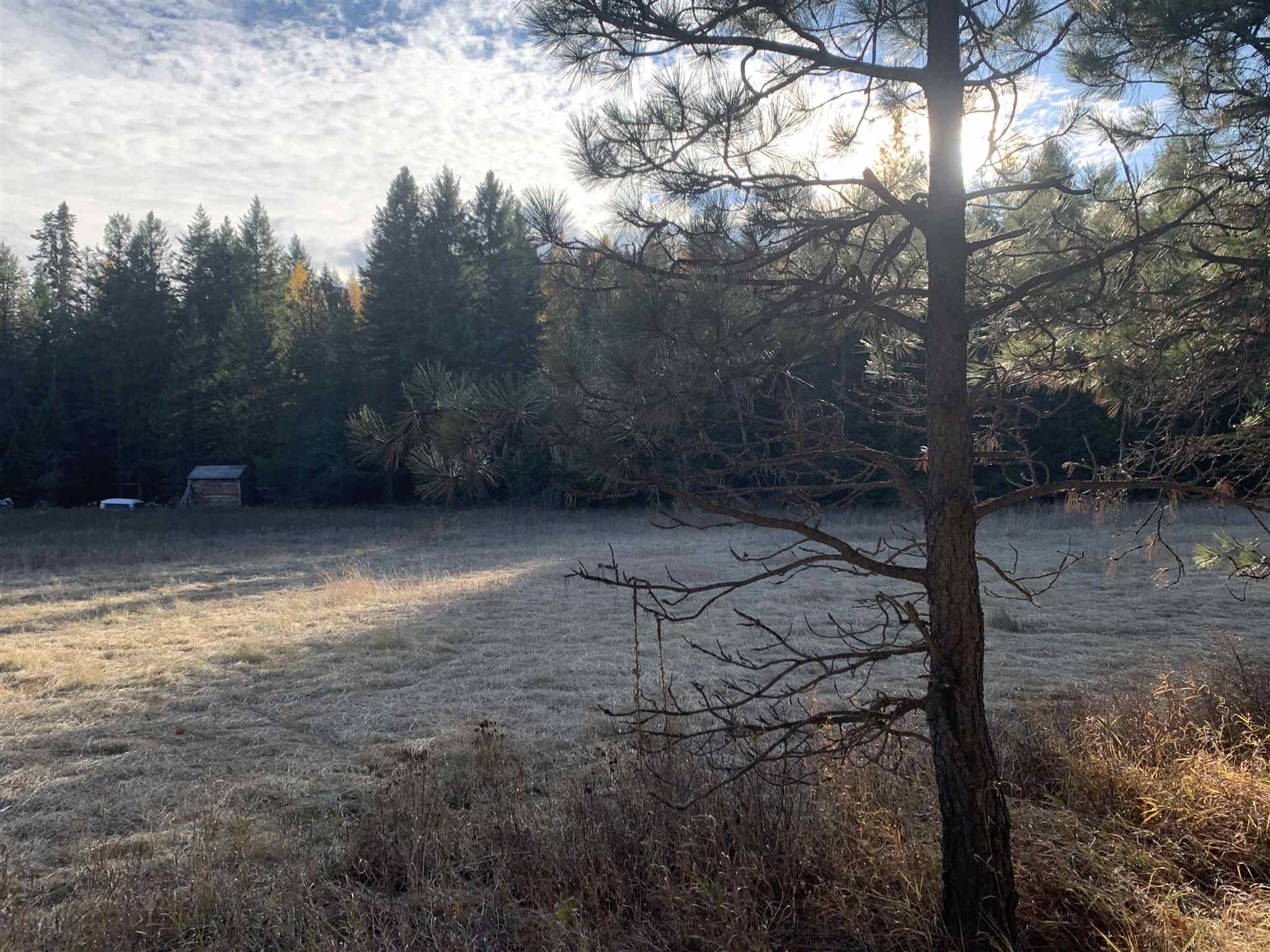 4782 Luther Road Springdale, WA 99173 - Photo 19 of 27