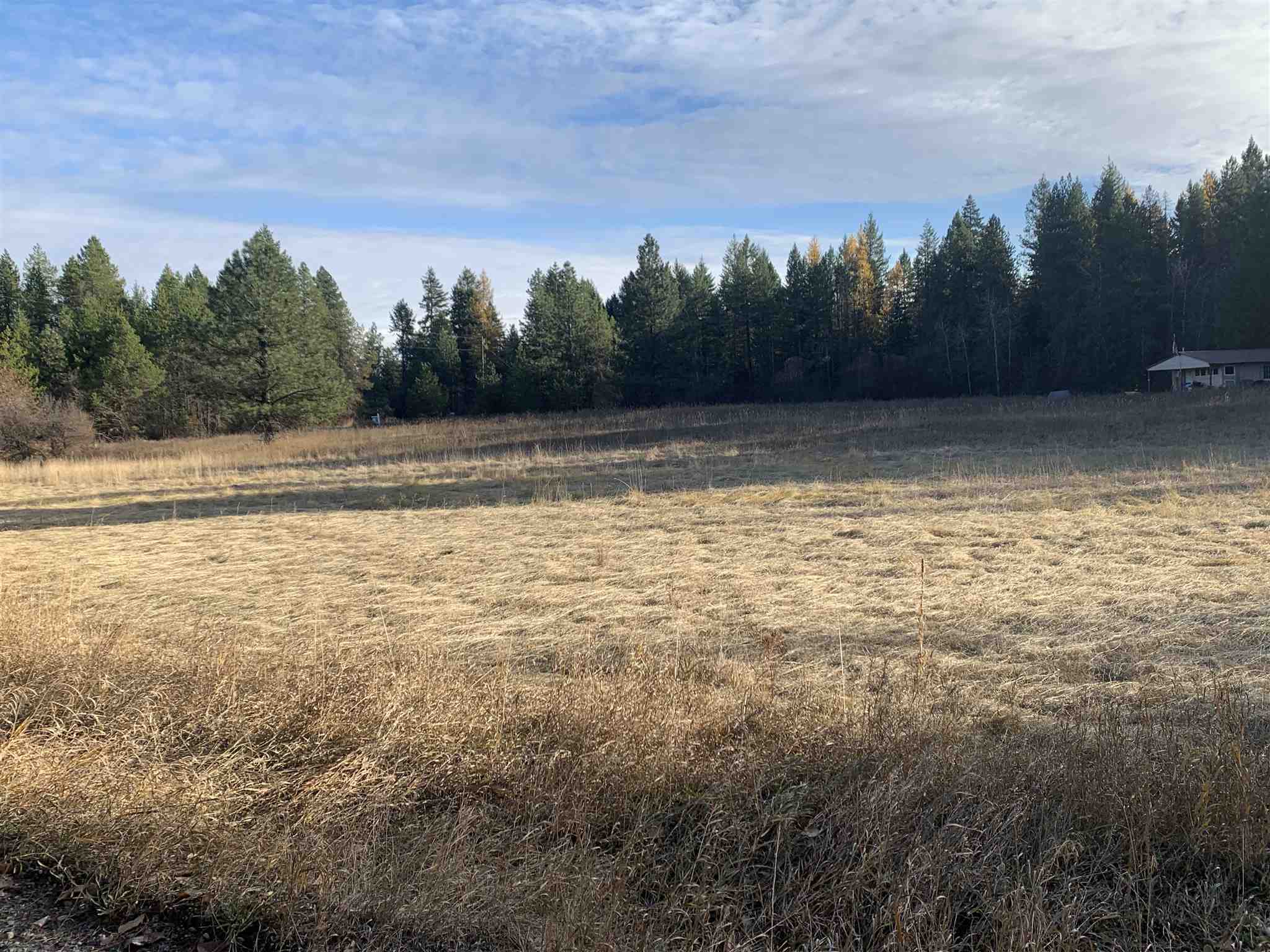4782 Luther Road Springdale, WA 99173 - Photo 20 of 27