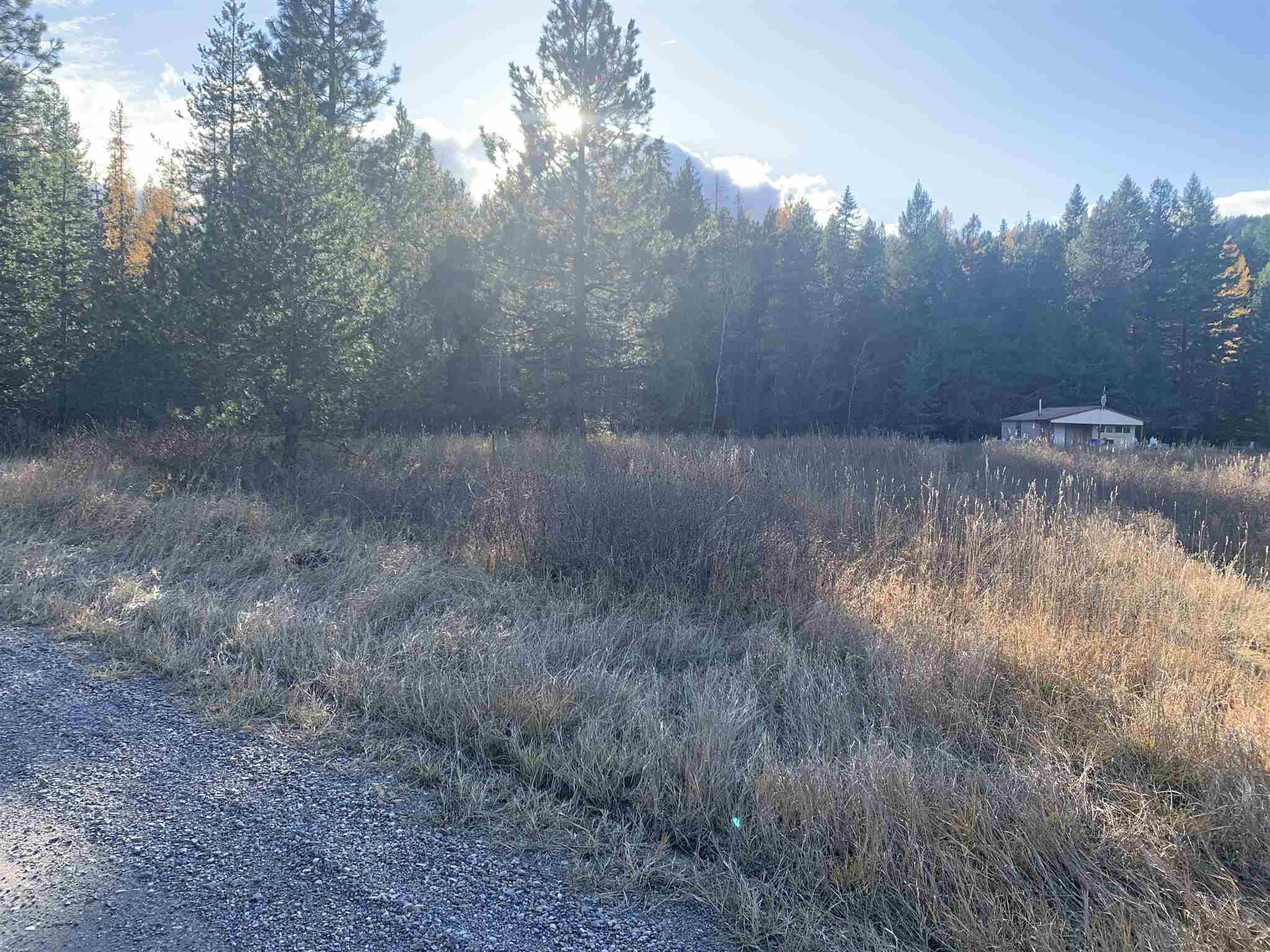 4782 Luther Road Springdale, WA 99173 - Photo 6 of 27