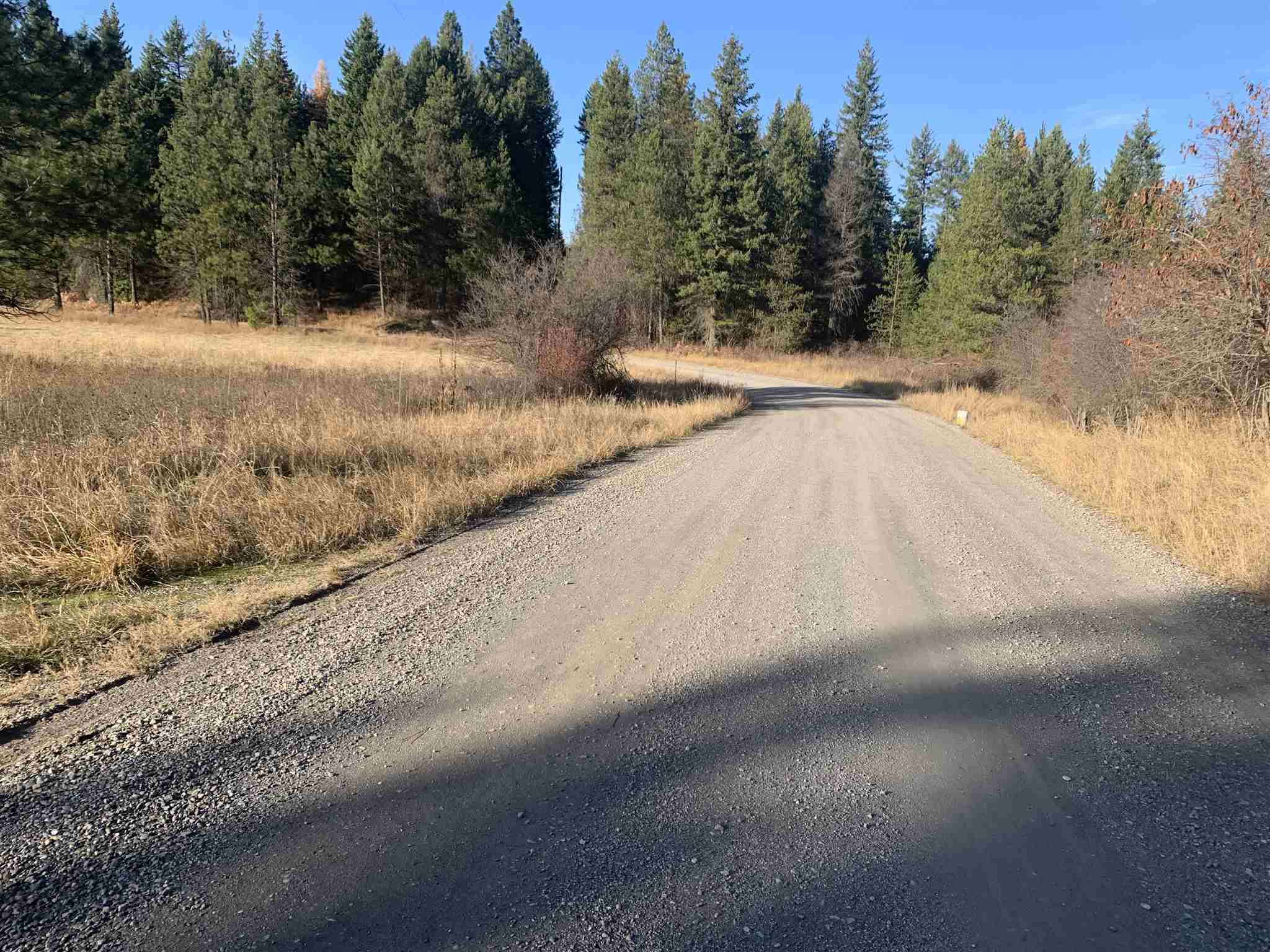 4782 Luther Road Springdale, WA 99173 - Photo 7 of 27