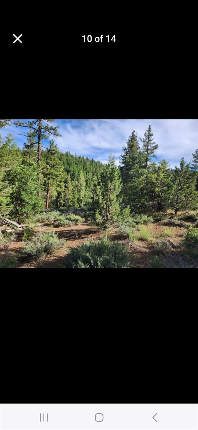 0 Cheney Creek Road Susanville, CA 96130 - Photo 16 of 18 a view of an outdoor space and a lake