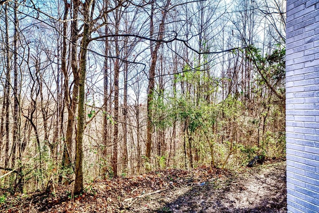 329 Sunny Point Road Baxter, TN 38544 - Photo 25 of 25 a backyard of a house with lots of green space