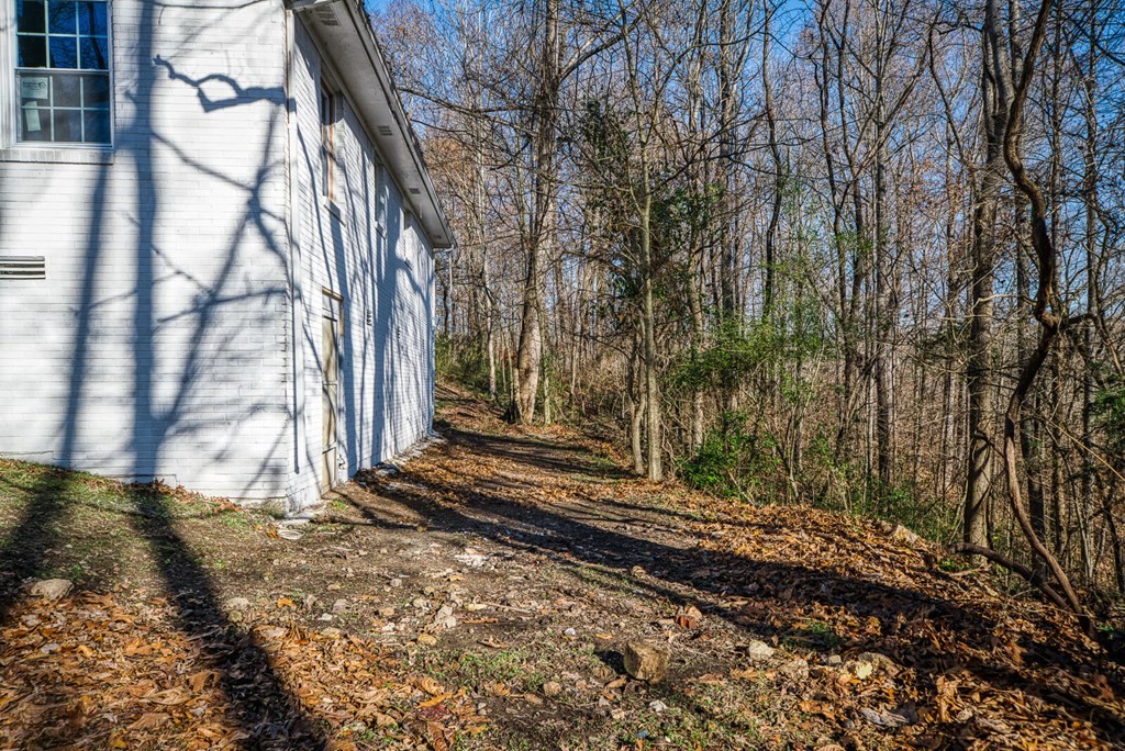 329 Sunny Point Road Baxter, TN 38544 - Photo 5 of 25 a view of a backyard of the house