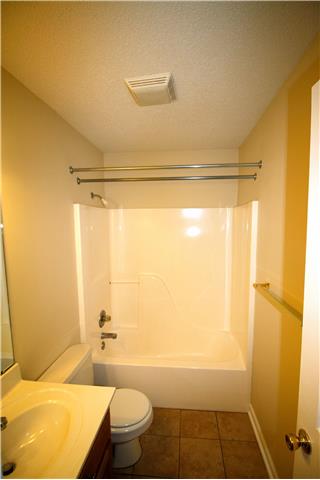 172 Dellrose Road Dellrose, TN 38453 - Photo 19 of 20 Gallery Image 19