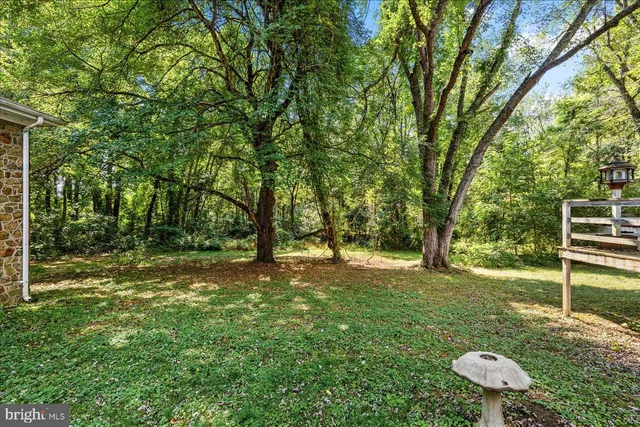a view of a yard with a tree