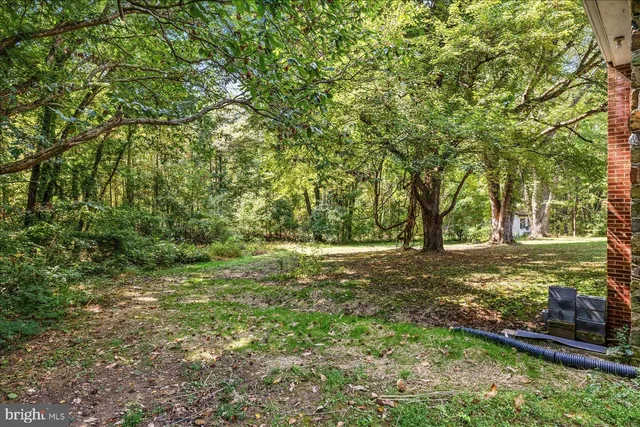 a view of a trees with a yard